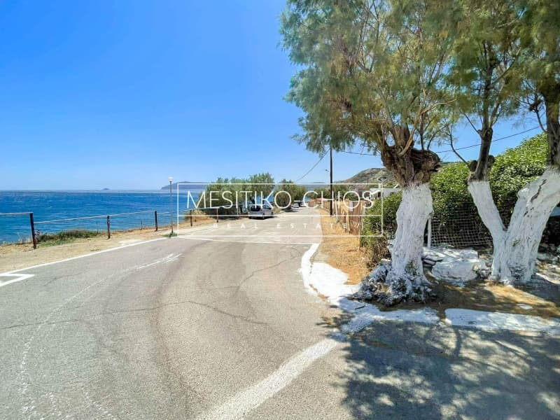 Οικόπεδο στην Ιωνία, Χίος — Φωτογραφία 19 από 25