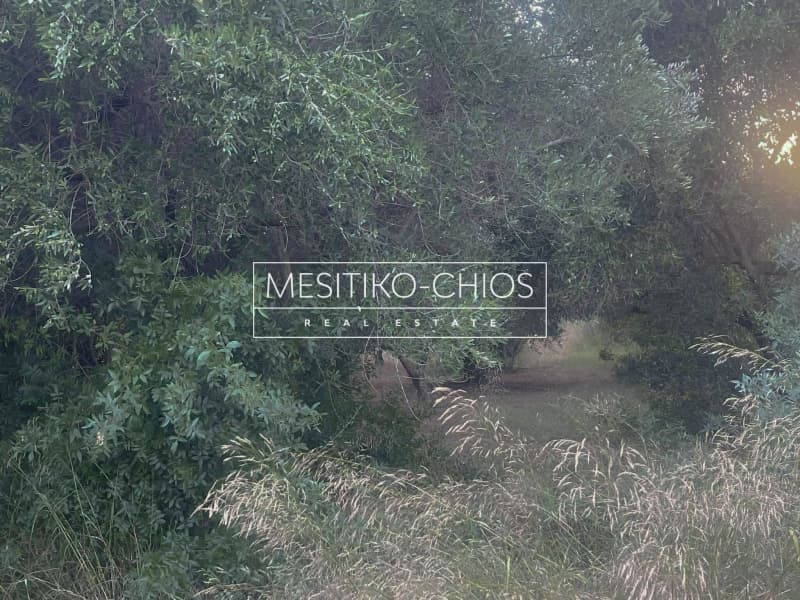 Οικόπεδο στην Άγιος Μηνάς, Χίος — Φωτογραφία 18 από 22