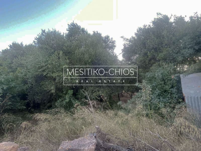 Οικόπεδο στην Άγιος Μηνάς, Χίος — Φωτογραφία 14 από 22