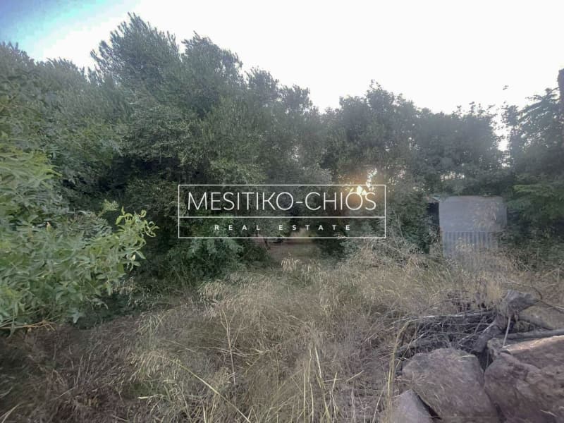 Οικόπεδο στην Άγιος Μηνάς, Χίος — Φωτογραφία 17 από 22