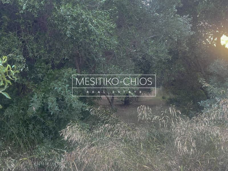 Οικόπεδο στην Άγιος Μηνάς, Χίος — Φωτογραφία 19 από 22