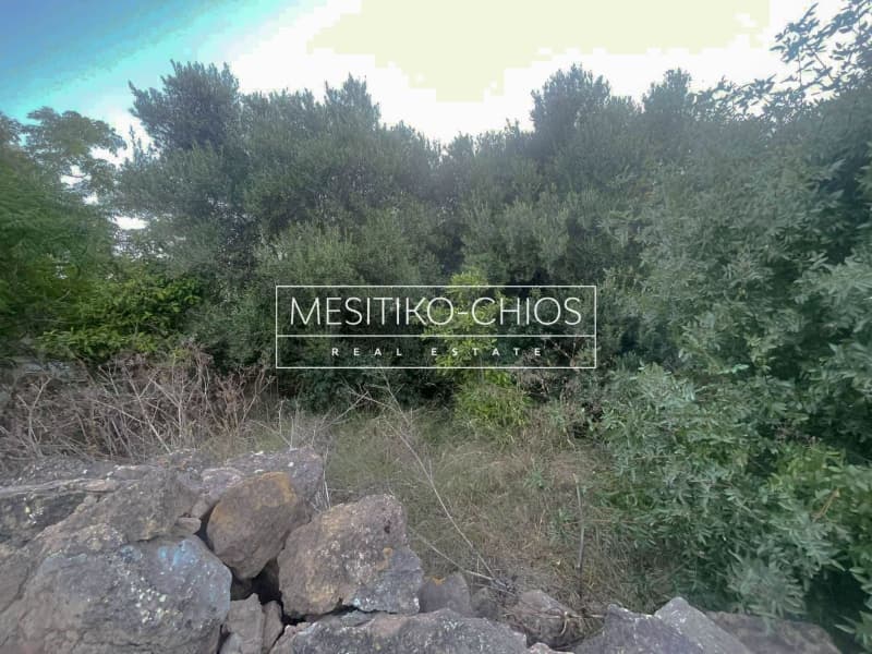 Οικόπεδο στην Άγιος Μηνάς, Χίος — Φωτογραφία 20 από 22