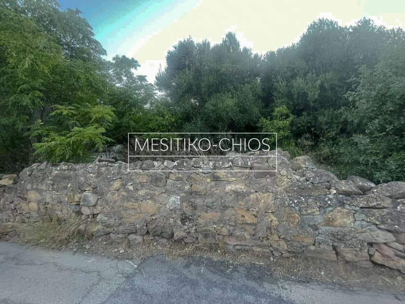 Οικόπεδο στην Άγιος Μηνάς, Χίος — Φωτογραφία 13 από 22
