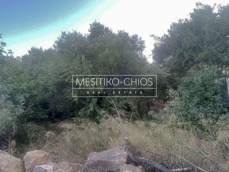 Οικόπεδο στην Άγιος Μηνάς, Χίος — Φωτογραφία 15 από 22