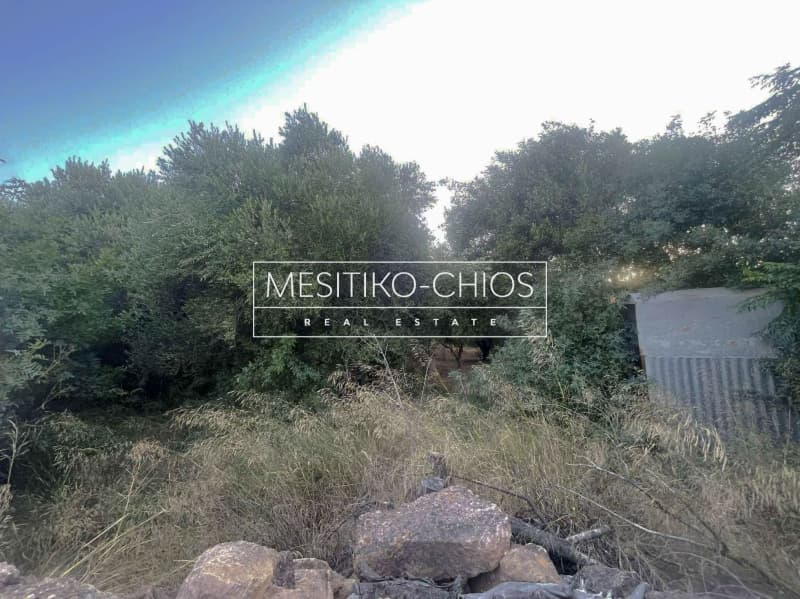 Οικόπεδο στην Άγιος Μηνάς, Χίος — Φωτογραφία 16 από 22