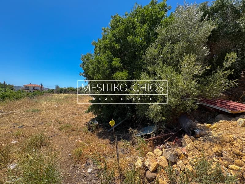 Οικόπεδο στην Άγιος Μηνάς, Χίος — Φωτογραφία 9 από 10