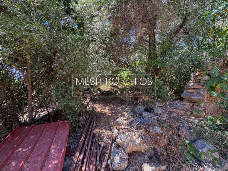 Οικόπεδο στην Άγιος Μηνάς, Χίος — Φωτογραφία 7 από 10