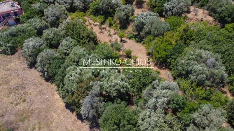 Οικόπεδο στην Πόλη Χίου, Χίος — Φωτογραφία 23 από 24