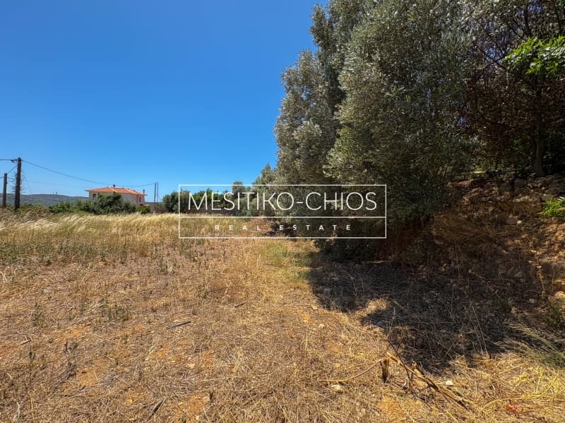 Οικόπεδο στην Πόλη Χίου, Χίος — Φωτογραφία 17 από 24