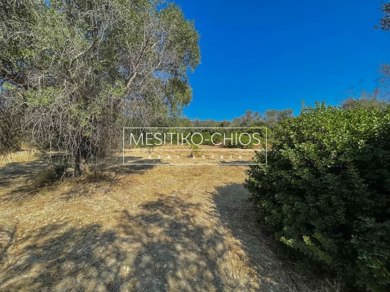 Οικόπεδο στην Άγιος Μηνάς, Χίος — Φωτογραφία 14 από 25