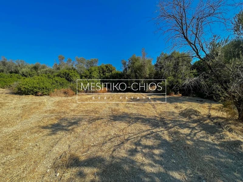 Οικόπεδο στην Άγιος Μηνάς, Χίος — Φωτογραφία 8 από 25