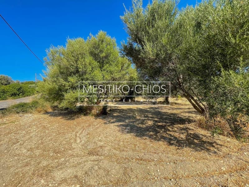 Οικόπεδο στην Άγιος Μηνάς, Χίος — Φωτογραφία 10 από 25