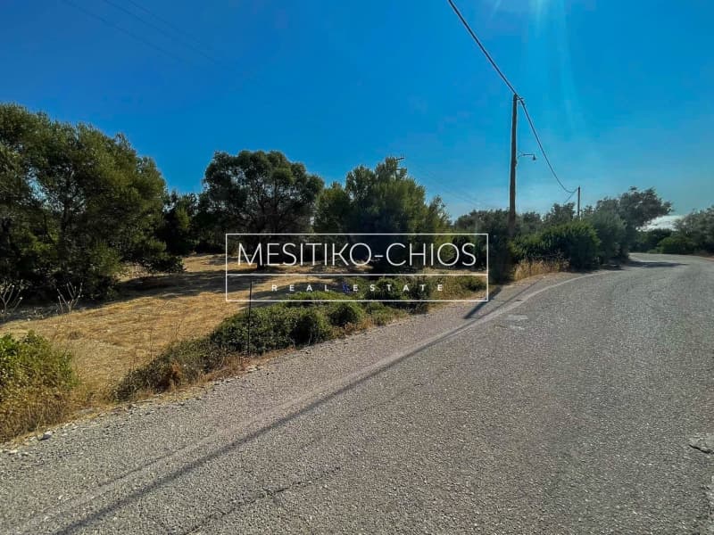 Οικόπεδο στην Άγιος Μηνάς, Χίος — Φωτογραφία 25 από 25