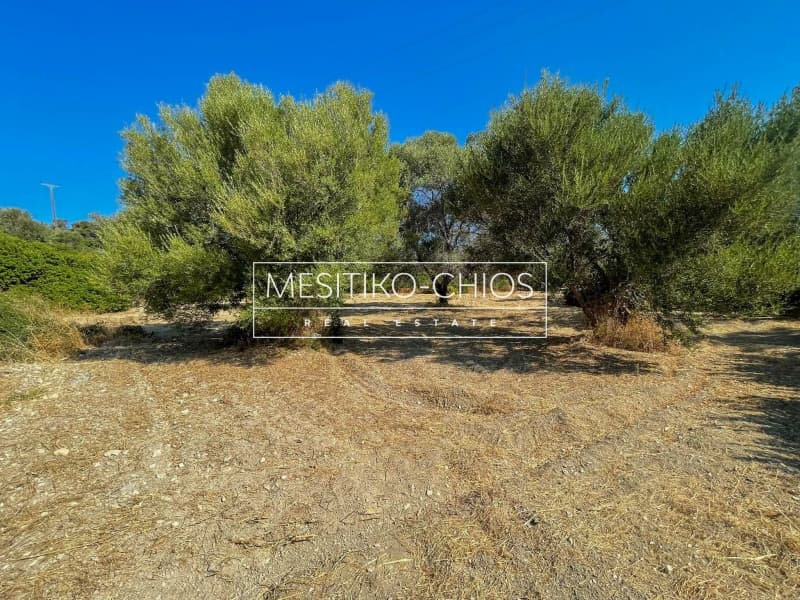 Οικόπεδο στην Άγιος Μηνάς, Χίος — Φωτογραφία 9 από 25