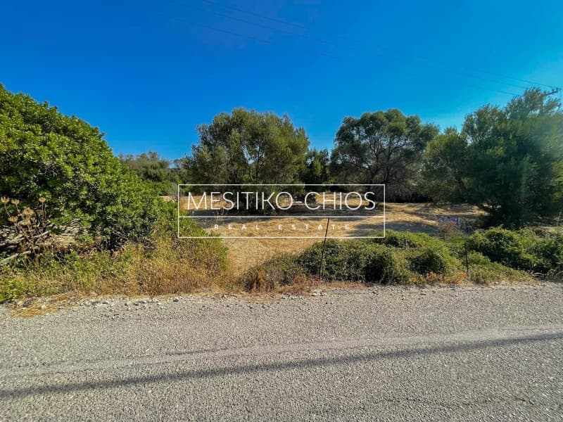 Οικόπεδο στην Άγιος Μηνάς, Χίος — Φωτογραφία 22 από 25
