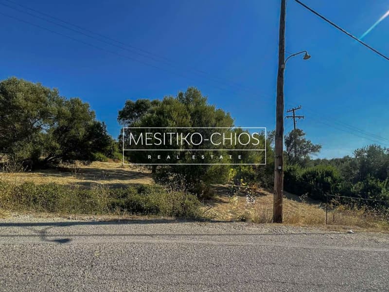Οικόπεδο στην Άγιος Μηνάς, Χίος — Φωτογραφία 23 από 25