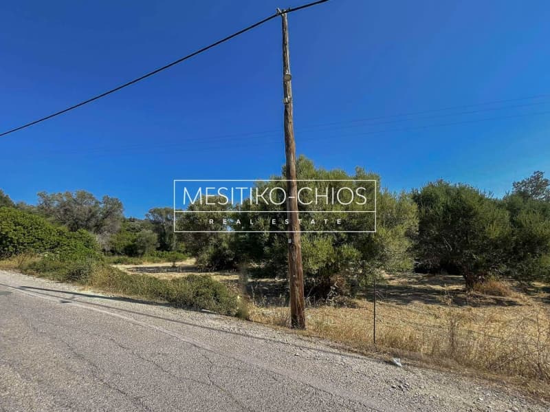 Οικόπεδο στην Άγιος Μηνάς, Χίος — Φωτογραφία 24 από 25