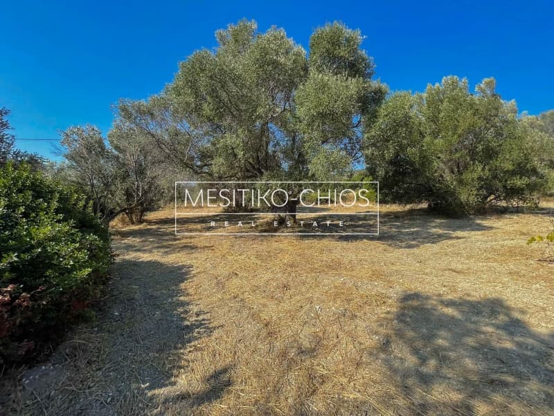 Οικόπεδο στην Άγιος Μηνάς, Χίος — Φωτογραφία 11 από 25