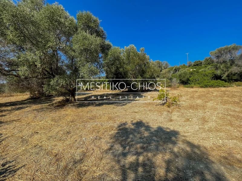 Οικόπεδο στην Άγιος Μηνάς, Χίος — Φωτογραφία 7 από 25