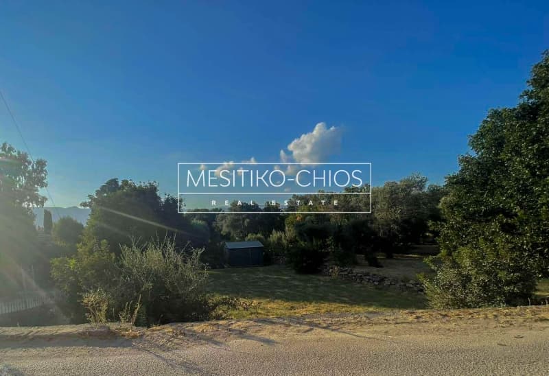 Οικόπεδο στην Άγιος Μηνάς, Χίος — Φωτογραφία 3 από 20