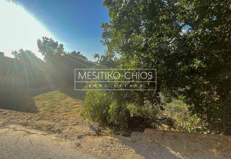 Οικόπεδο στην Άγιος Μηνάς, Χίος — Φωτογραφία 5 από 20