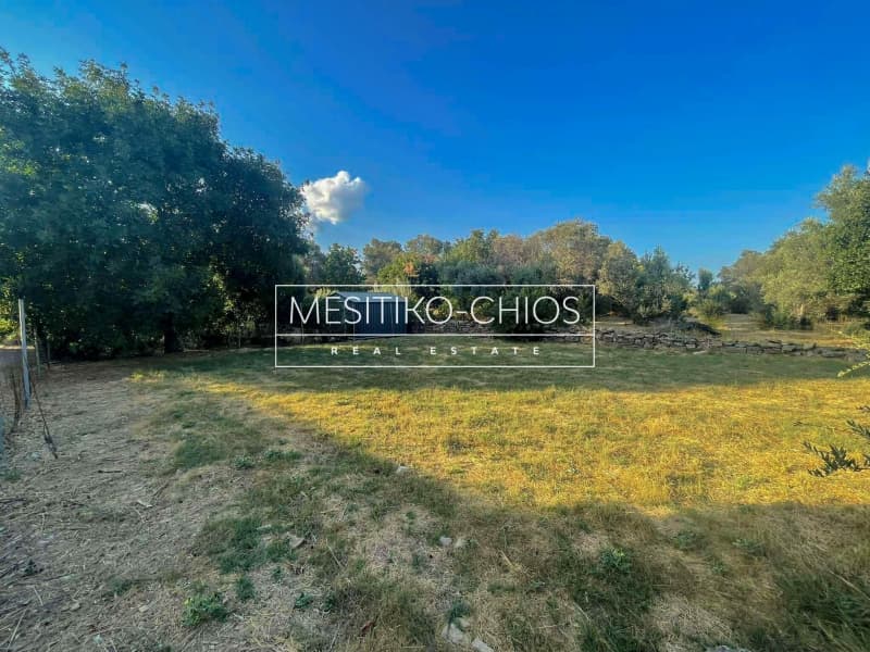 Οικόπεδο στην Άγιος Μηνάς, Χίος — Φωτογραφία 7 από 20