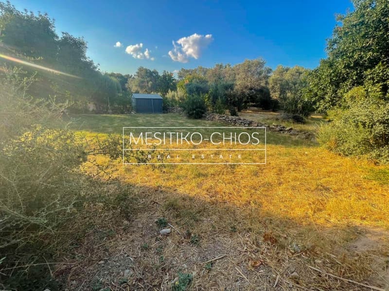 Οικόπεδο στην Άγιος Μηνάς, Χίος — Φωτογραφία 10 από 20