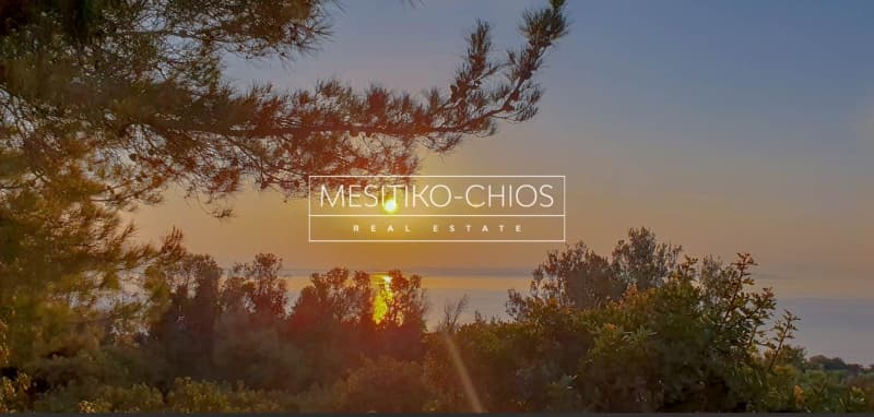 Αγροτεμάχιο στην Ιωνία, Χίος — Φωτογραφία 1 από 28