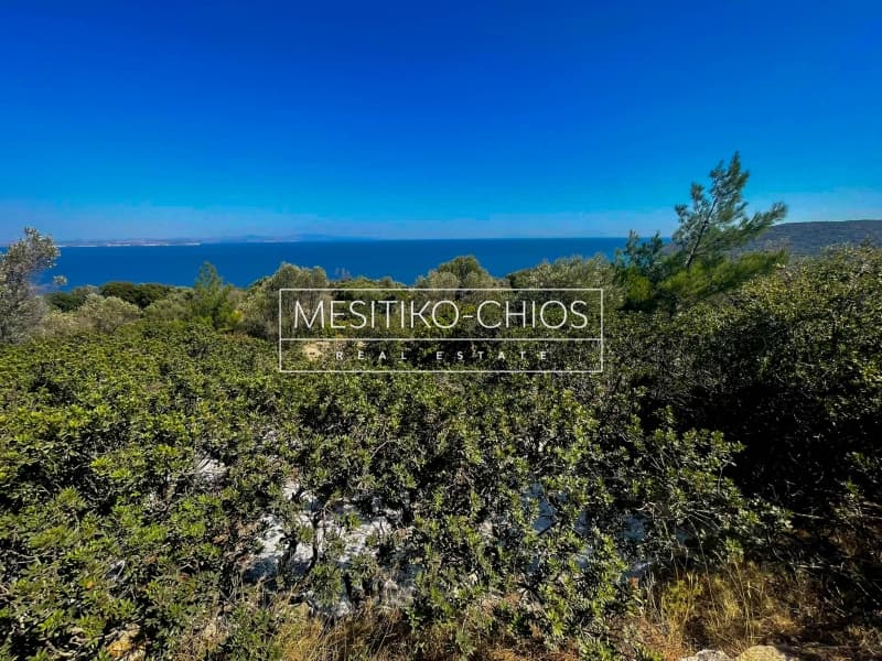 Αγροτεμάχιο στην Ιωνία, Χίος — Φωτογραφία 21 από 28