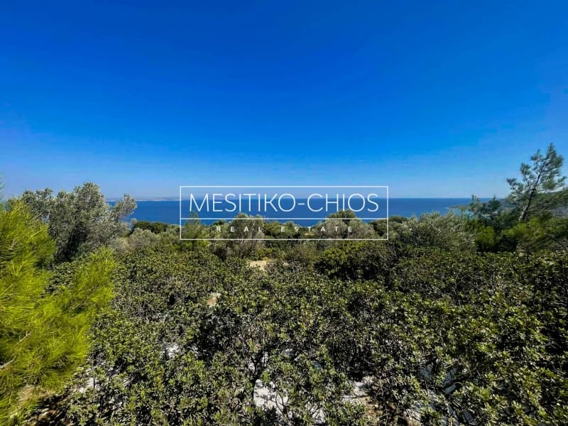 Αγροτεμάχιο στην Ιωνία, Χίος — Φωτογραφία 22 από 28