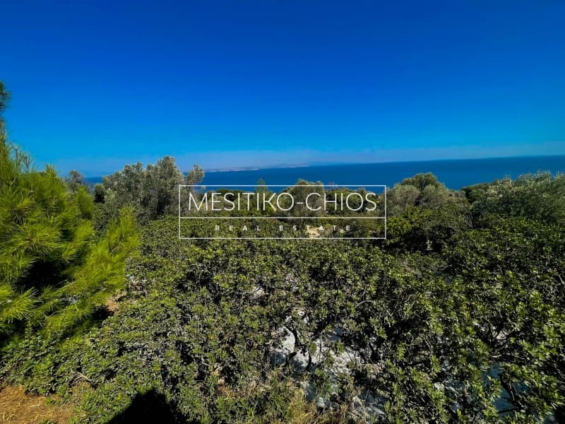 Αγροτεμάχιο στην Ιωνία, Χίος — Φωτογραφία 9 από 28
