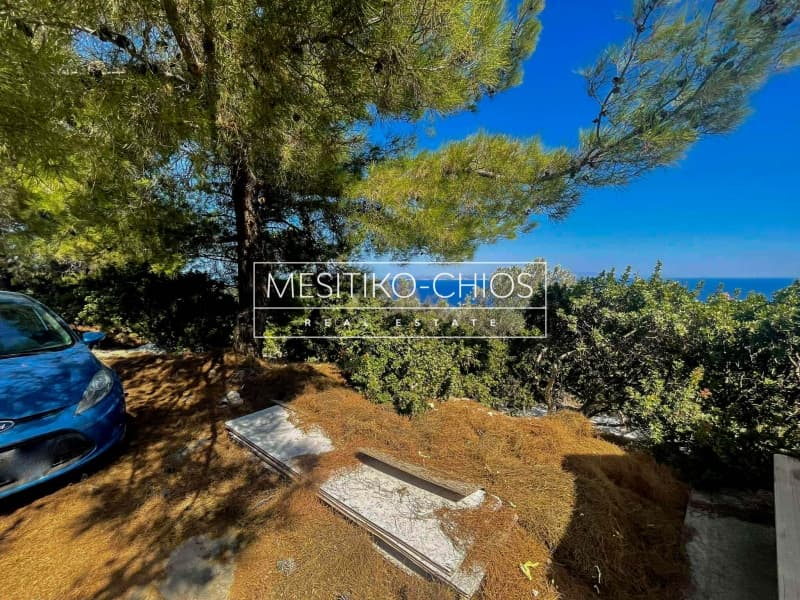 Αγροτεμάχιο στην Ιωνία, Χίος — Φωτογραφία 26 από 28
