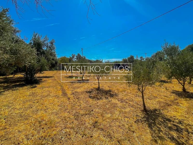 Οικόπεδο στην Πόλη Χίου, Χίος — Φωτογραφία 6 από 23