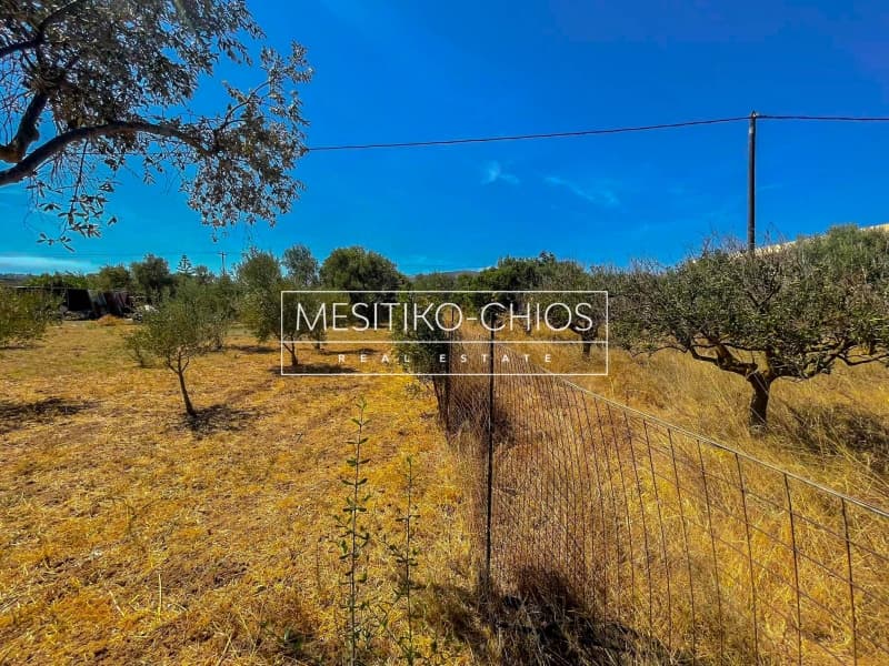 Οικόπεδο στην Πόλη Χίου, Χίος — Φωτογραφία 20 από 23
