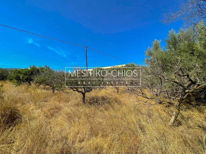 Οικόπεδο στην Πόλη Χίου, Χίος — Φωτογραφία 18 από 23