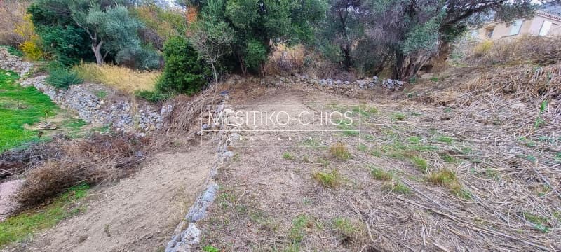 Οικόπεδο στην Πόλη Χίου, Χίος — Φωτογραφία 7 από 7