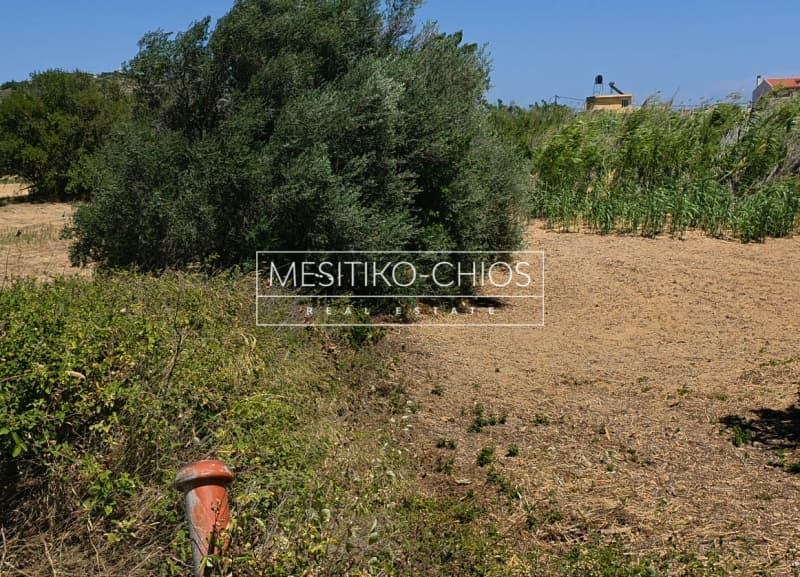 Οικόπεδο στην Ιωνία, Χίος — Φωτογραφία 3 από 12