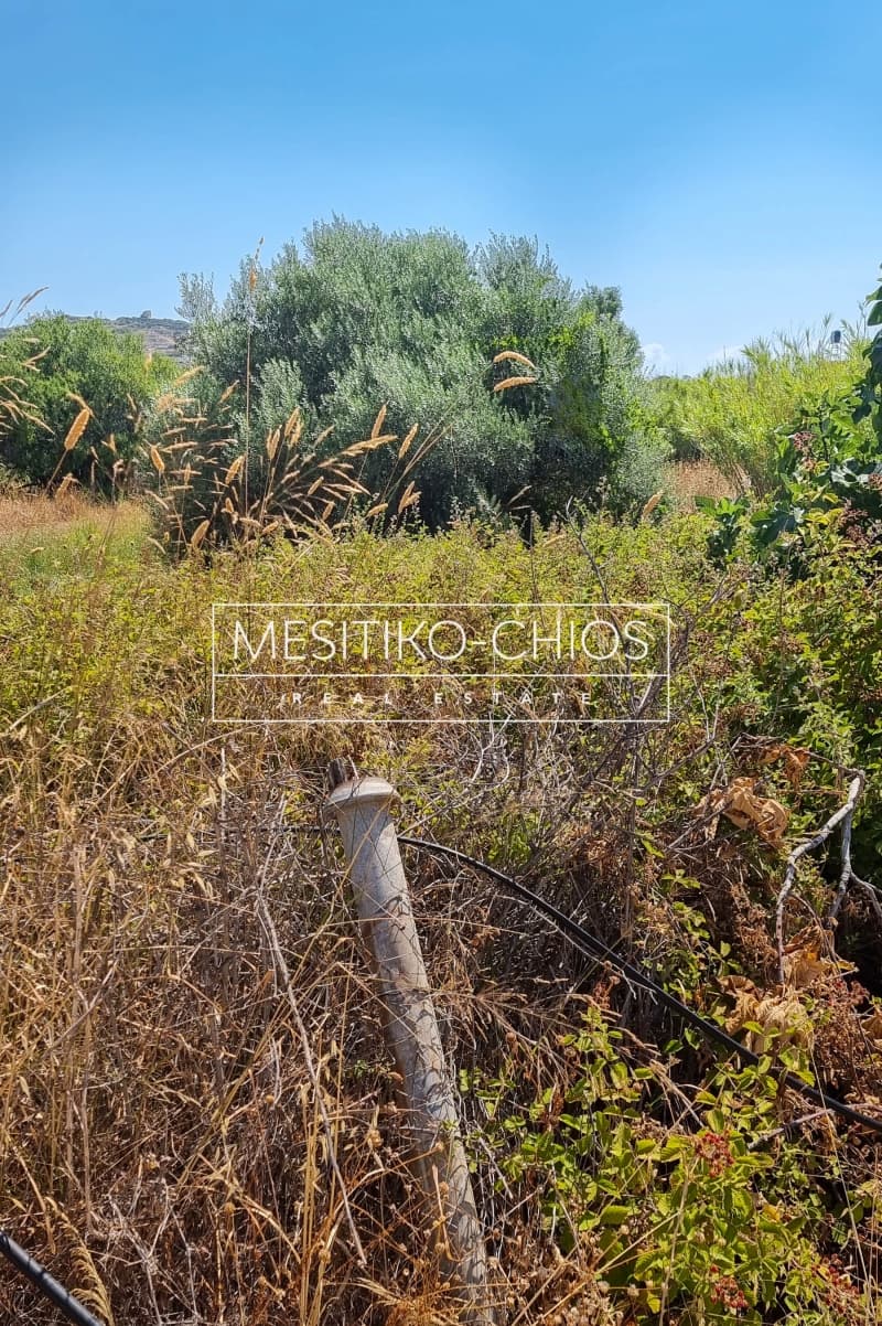Οικόπεδο στην Ιωνία, Χίος — Φωτογραφία 8 από 12
