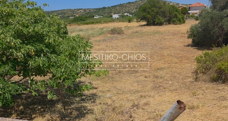 Οικόπεδο στην Ιωνία, Χίος — Φωτογραφία 10 από 12