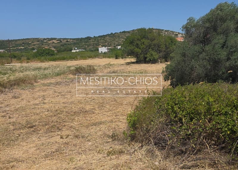 Οικόπεδο στην Ιωνία, Χίος — Φωτογραφία 4 από 12