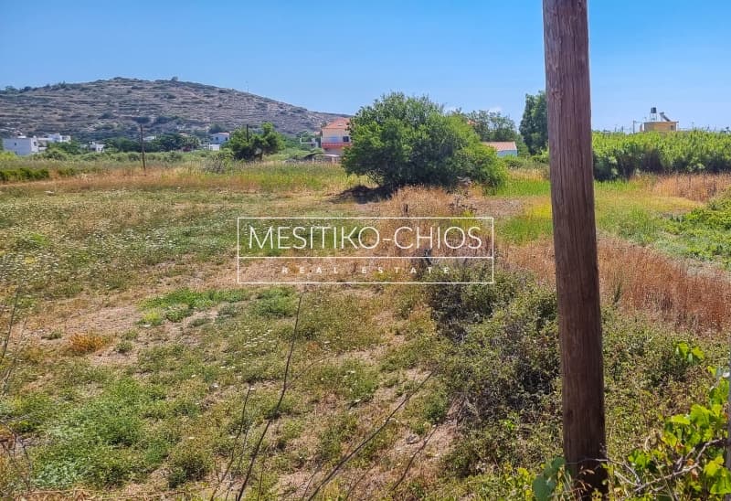 Οικόπεδο στην Ιωνία, Χίος — Φωτογραφία 1 από 12