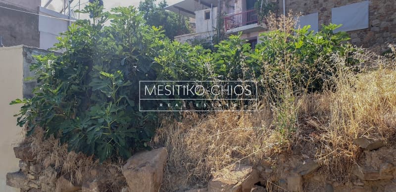 Οικόπεδο στην Αμάνη, Χίος — Φωτογραφία 6 από 18