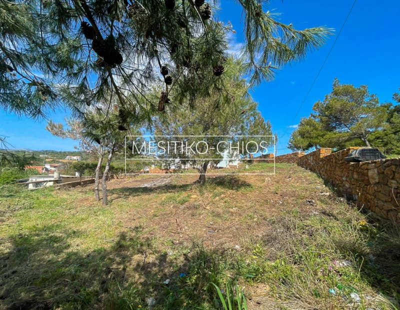 Οικόπεδο στην Άγιος Μηνάς, Χίος — Φωτογραφία 2 από 25