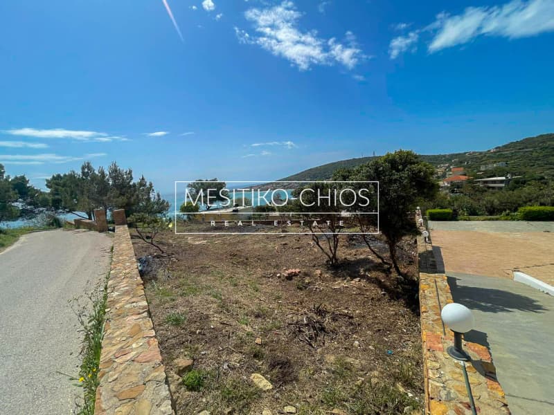 Οικόπεδο στην Άγιος Μηνάς, Χίος — Φωτογραφία 10 από 25