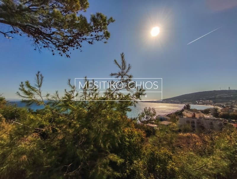 Οικόπεδο στην Άγιος Μηνάς, Χίος — Φωτογραφία 1 από 25