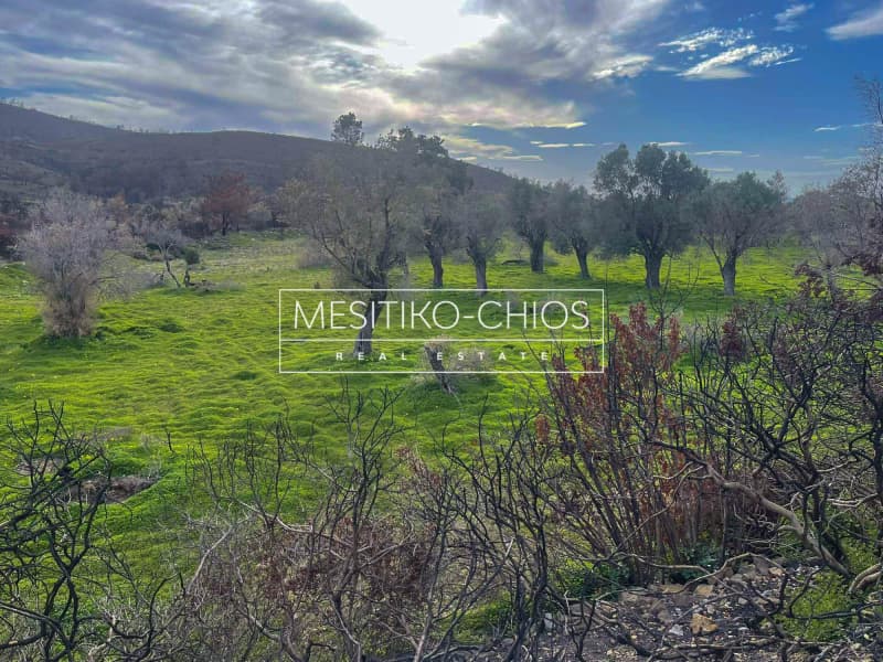 Οικόπεδο στην Αμάνη, Χίος — Φωτογραφία 2 από 25
