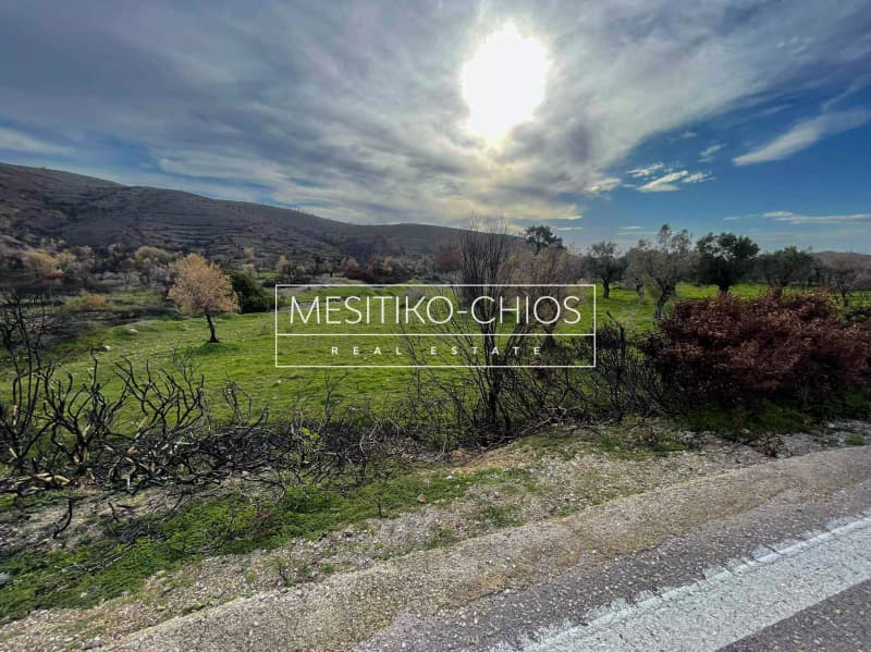 Οικόπεδο στην Αμάνη, Χίος — Φωτογραφία 10 από 25
