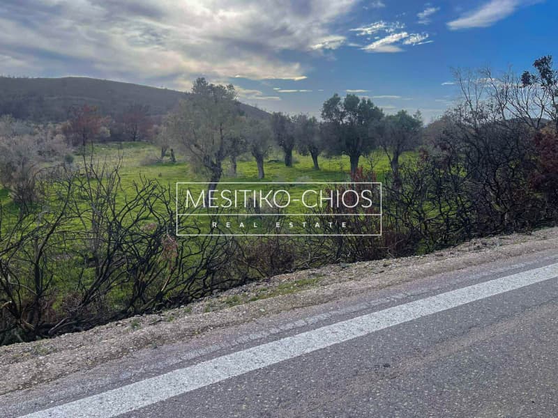 Οικόπεδο στην Αμάνη, Χίος — Φωτογραφία 21 από 25