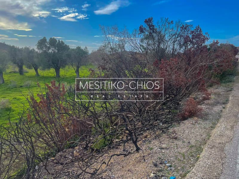 Οικόπεδο στην Αμάνη, Χίος — Φωτογραφία 25 από 25
