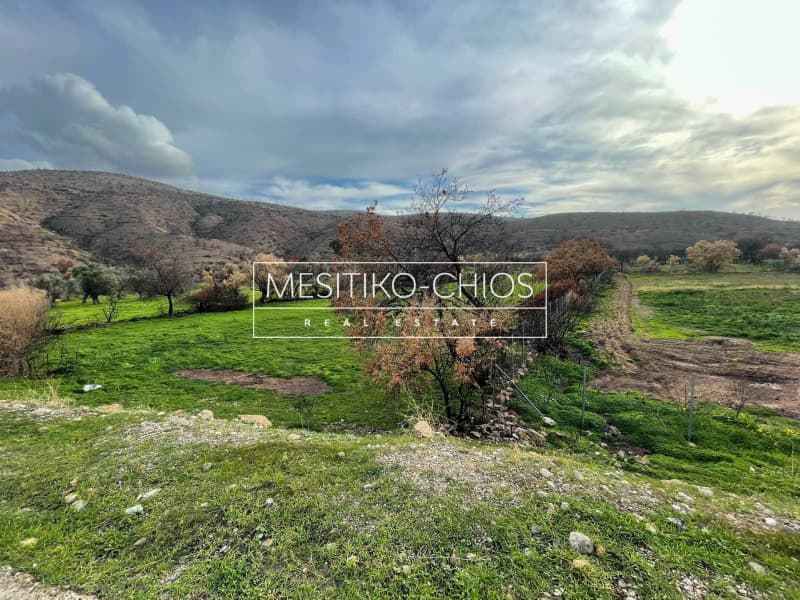 Οικόπεδο στην Αμάνη, Χίος — Φωτογραφία 24 από 25